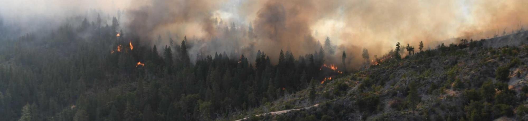 Wildfire Front 2
